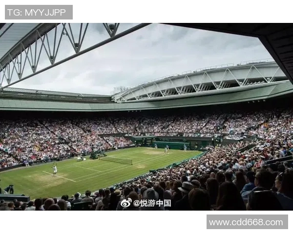 重庆网球队在世界锦标赛中的状态分析与表现评估